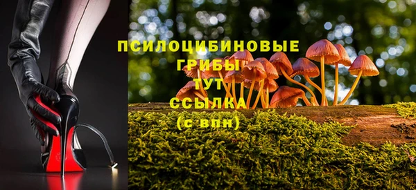 амфетамин Белокуриха